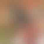 Sierra de mano eléctrica BRENCHIE