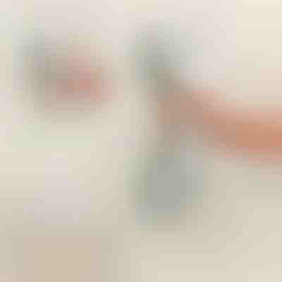 Asa de seguridad para ducha y baño | HANDORKA